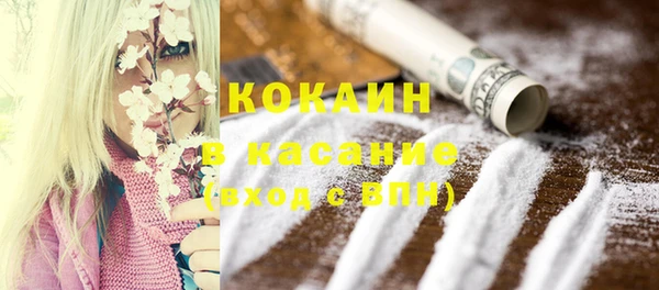 гашик Белоозёрский