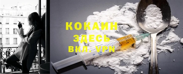 гашик Белоозёрский