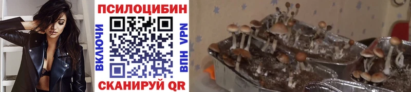 купить наркотик  Губкинский  Галлюциногенные грибы ЛСД 